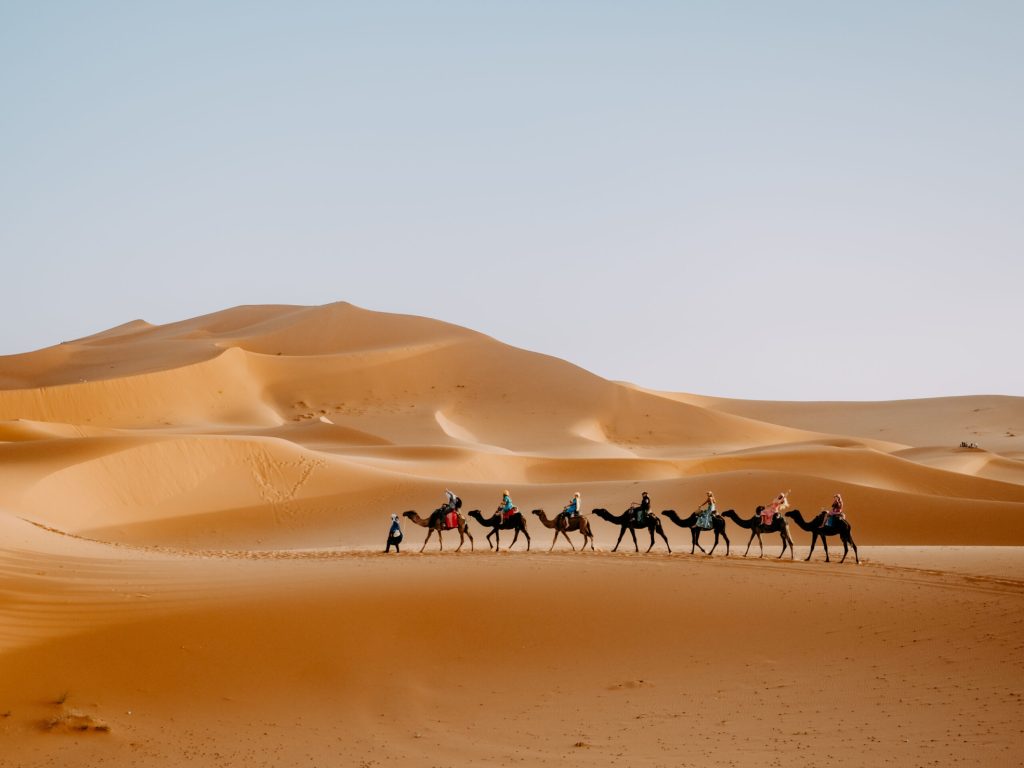 Treks all Morocco - Sahara Desert Tour