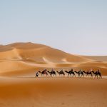 Treks all Morocco - Sahara Desert Tour